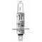 Hella Bulb H1 24V 70W P14.5S T2.5 Bulbs, H124V H124V - alternate 2
